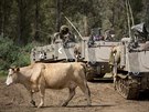 Izraeltí kovbojové enou svá stáda pes Golanské výiny. (21. dubna 2016)