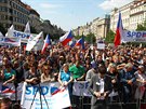 Demonstrace strany SPD Tomia Okamury na Václavském náměstí (14.5.2016).