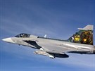 Nové zbarvení jednoho z eských gripen pro cviení tygích letek