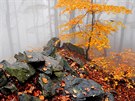 Kamenný pahorek po deti v podzimních Kruných horách