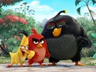 Z filmových Angry Birds