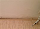 Vzlínání vlhkosti u stěn v suterénu kroutí podlahové lišty i podlahu jako...