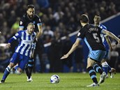 Jiří Skalák z Brightonu chce uniknout hráčům Sheffieldu Wednesday.