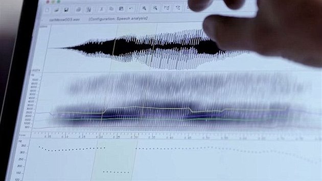 Vzkumnci zkoumali a analyzovali hlasov projevy koek.