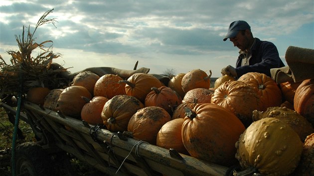 Většina krajanů v Banátu se živí zemědělstvím.