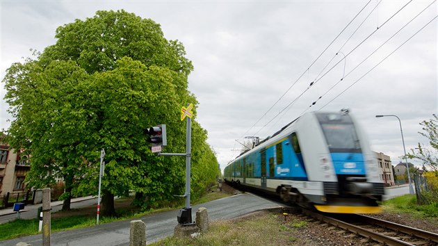 Správa železniční dopravní cesty chce nechat vykácet vzrostlé kaštany v hradecké Opatovické ulici kvůli stavbě druhé koleje do Pardubic.