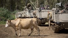 Izraeltí kovbojové enou svá stáda pes Golanské výiny. (21. dubna 2016)