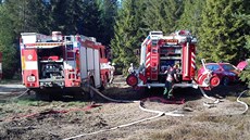 Zásah hasi pi rozsáhlém poáru lesa v Rotav na Sokolovsku.