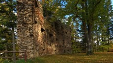 Zbytky palácové stny zíceniny hradu v Daleín