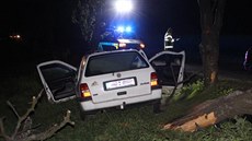 Šedesátiletý řidič u brněnského Žebětína ve středu večer přerazil autem strom a...