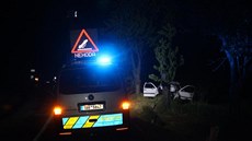 Šedesátiletý řidič u brněnského Žebětína ve středu večer přerazil autem strom a...