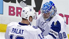 Ondej Palát (vlevo) z Tampy Bay dkuje za výkon brankáí Andreji Vasilevskému.