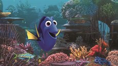 Z filmu Hledá se Dory
