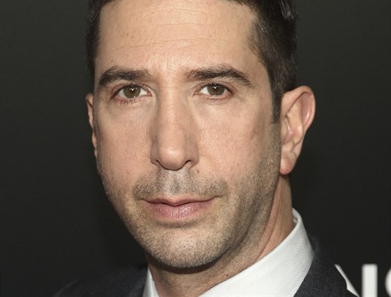 David Schwimmer (New York, 23. kvtna 2016)