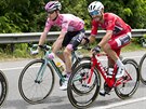 Steven Kruijswijk (v rovém) a Giovanni Visconti bhem osmnácté etapy Gira.