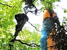Paraglidista na Kozákov uvízl na strom. Zachránit ho museli hasii.