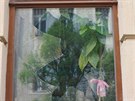 V kav�rn� T�i oc�sci n�kdo rozbil kamenem okno