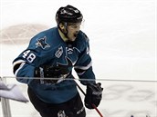 tonk Tom Hertl ze San Jose oslavuje svj gl proti St. Louis.