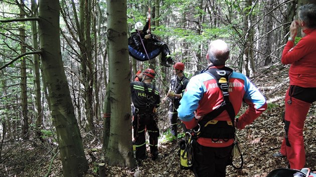 Paraglidista na Kozkov uvzl na strom. Zachrnit ho museli hasii.