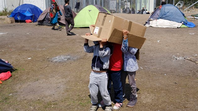 Dti benc si hraj s paprovou krabic v uprchlickm tboe na srbsko-maarskch hranicch u vesnice Horgo (19. kvtna 2016).