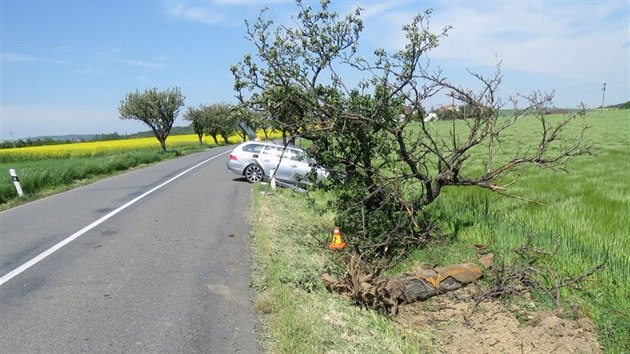 idi na Prostjovsku strhl zen, aby se vyhnul srce se srnou, msto toho tak perazil a vyvrtil strom stojc u silnice.