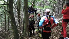 Paraglidista na Kozákov uvízl na strom. Zachránit ho museli hasii.
