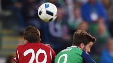 William Grigg (v zeleném) ze Severního Irska v souboji s  Andrejem Gorbunovem z...