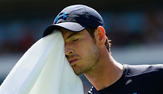 asté otírání tenist (na fotce Andy Murray) mezi výmnami je jedna z vcí,...