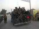Spolená ofenziva iráckých elitních jednotek a íitských milic proti Islámskému...