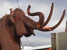 Jaroslav efl vytvoil z bezového proutí pravkého mamuta v ivotní velikosti....