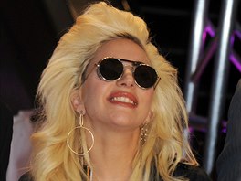 Zpěvačka Lady Gaga si ráda hraje s kostýmy, make-upem, parukami a příčesky....
