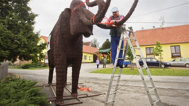 Jaroslav Šefl vytvořil z březového proutí pravěkého mamuta v životní velikosti. V pondělí ráno se socha vydala na cestu ze Lhůty u Plzně do pelhřimovského muzea. (30. května 2016)