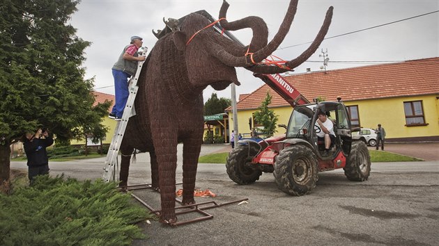 Jaroslav efl vytvoil z bezovho prout pravkho mamuta v ivotn velikosti. V pondl rno se socha vydala na cestu ze Lhty u Plzn do pelhimovskho muzea. (30. kvtna 2016)