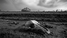 Oblast u Aralského jezera je posti�ena jeho vysycháním, testováním biologických...