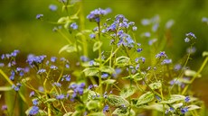 ilustra�ní snímek