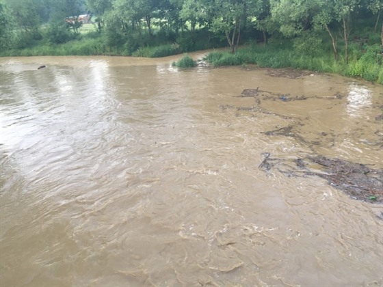 Plzesko zasáhly prudké det s boukami(6.6.2016)