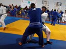 Na olympiád v Riu de Janeiru i uprchlití ampioni. Mezi nimi napíklad...