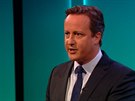David Cameron v televizní debat s Nigelem Faragem