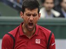 Srbsk tenista Novak Djokovi radostn ki v semifinle Roland Garros.