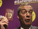 Lídr strany UKIP Nigel Farage je stoupencem brexitu