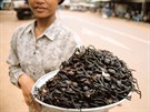 Pouliní prodavaka nabízí v kambodském Phnompenhu smaené tarantule.
