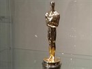 V Prácheském muzeu vystavuji Menzelova Oscara