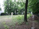 D�tský ostrov je ji� n�kolik let nep�ístupný. (6.6.2016)