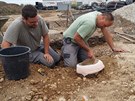 Rakoutí archeologové pi práci u obce Hörsching, kde se naly zlaté mince...