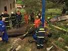 Hasi�i museli v Kru�berku na Opavsku vyt�hnout ze studny dosp�l�ho kon�, kter�...