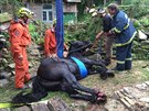 Hasi�i museli v Kru�berku na Opavsku vyt�hnout ze studny dosp�l�ho kon�, kter�...