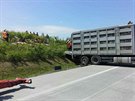 Kamion peváející po dálnici D1 prasata sjel na Perovsku do píkopu. ást...