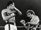 Boxer Muhammad Ali (vlevo) na snímku z roku 1973
