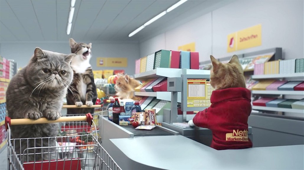 VIDEO: Roztomilé kočky nakupují v supermarketu a Němci je milují - iDNES.cz