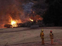 Vyprahlý kalifornský region suují niivé ohn asto. V roce 2013 spálil...